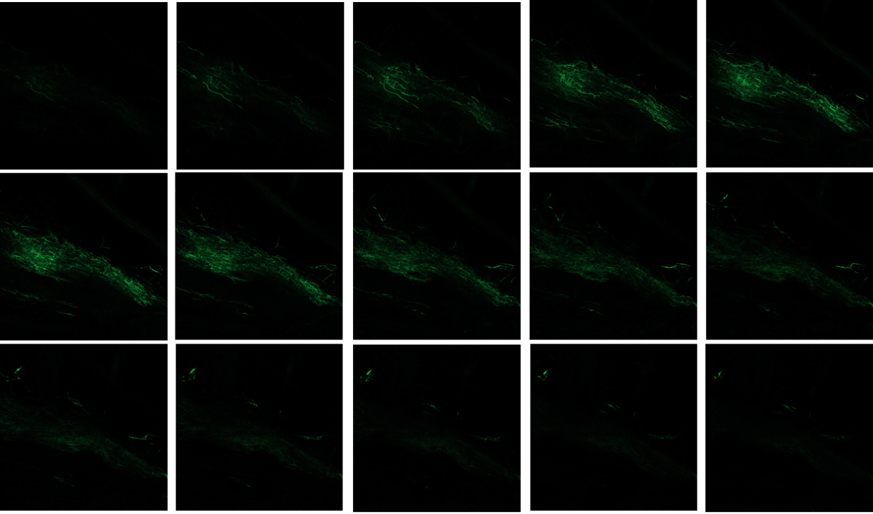 220509025950da1.png